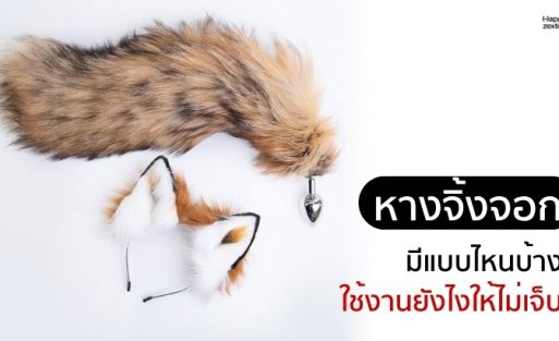 หางจิ้งจอกพร้อมเซ็ต cosplay ใช้ประกอบบทความเปรียบเทียบหางจิ้งจอกของถูกกับของแพง และวิธีเลือกให้เหมาะกับการใช้งาน