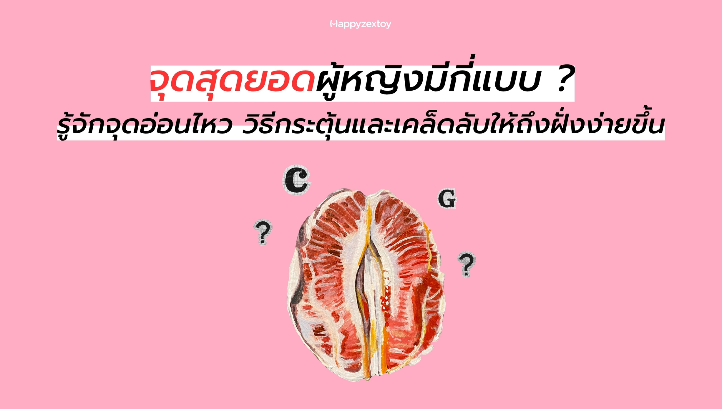 รูปส้มเปรียบเทียบโครงสร้างภายในและจุดสุดยอดของผู้หญิง พร้อมเครื่องหมายคำถามเพื่อสื่อถึงความเข้าใจร่างกาย