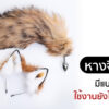 หางจิ้งจอกพร้อมเซ็ต cosplay ใช้ประกอบบทความเปรียบเทียบหางจิ้งจอกของถูกกับของแพง และวิธีเลือกให้เหมาะกับการใช้งาน